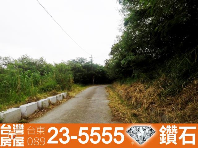 台東卑南農地-6