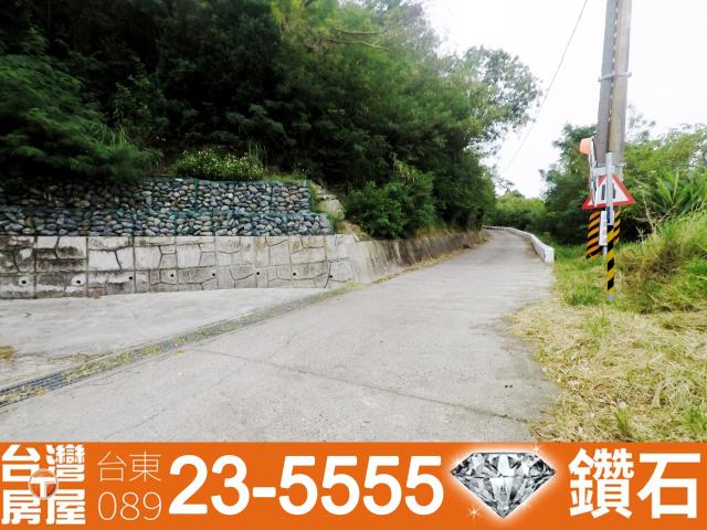 台東卑南農地-8