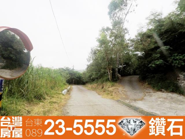 台東卑南農地-9