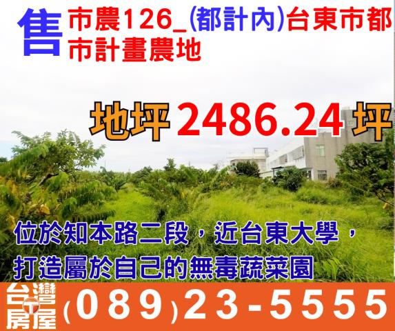 台東台東市農地-2