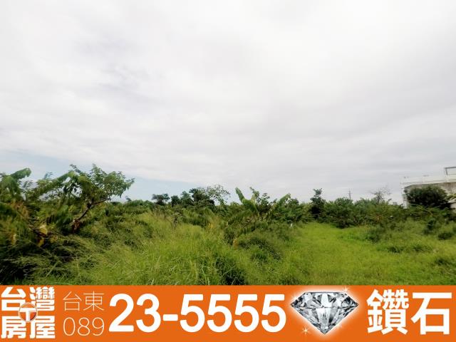 台東台東市農地-4