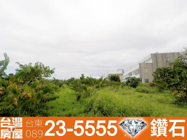 台東台東市農地-6