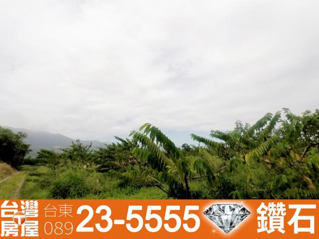 台東台東市農地-7