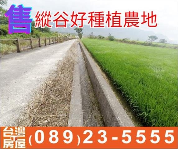 縱谷好種植農地