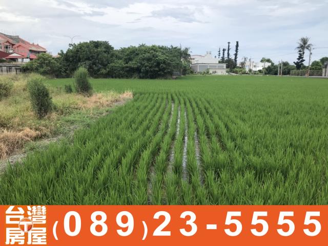 台東農地-10