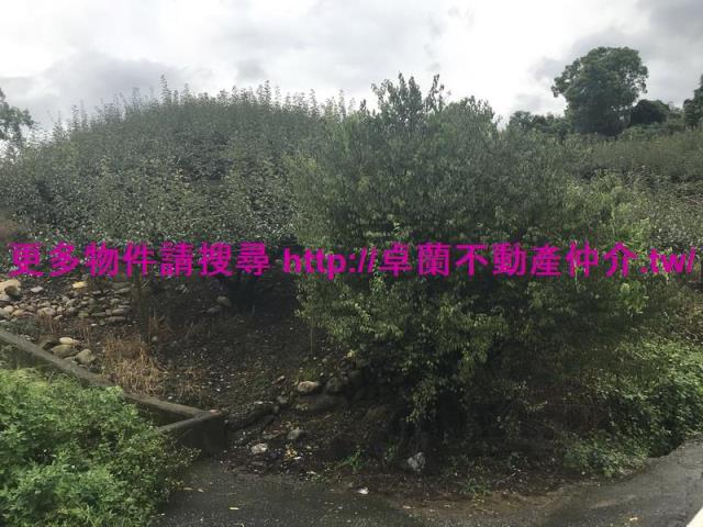 卓蘭農地-6