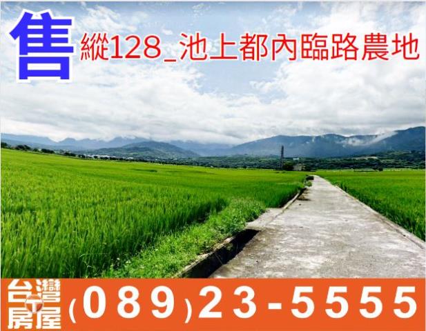 池上都內臨路農地