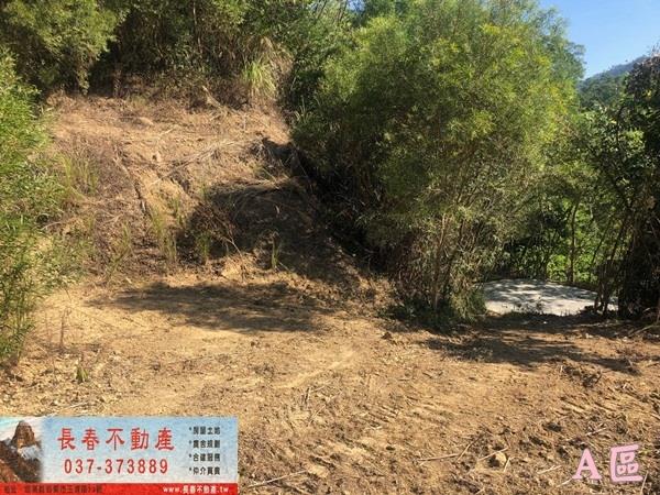 公館農地-4