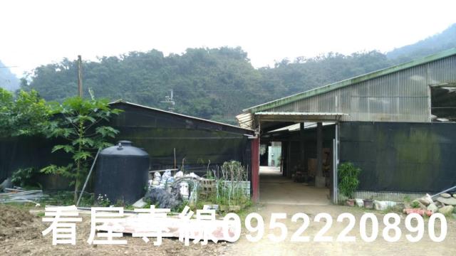 新北農地-4
