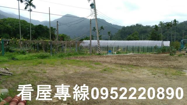 新北農地-6