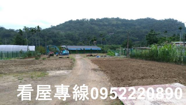 新北農地-7