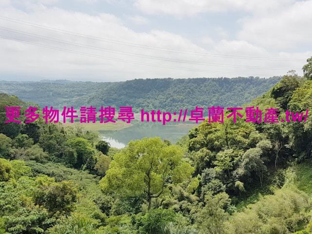 苗栗大湖農地-8
