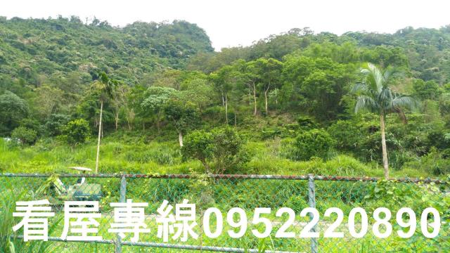 新店山坡地-2