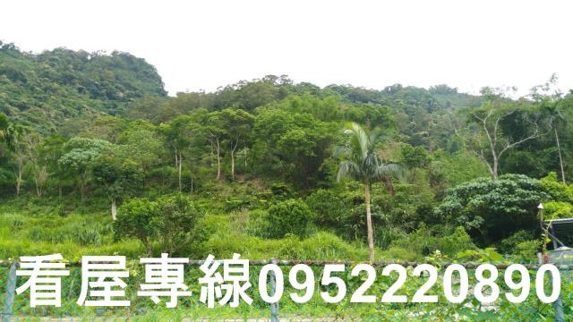 新店山坡地-3
