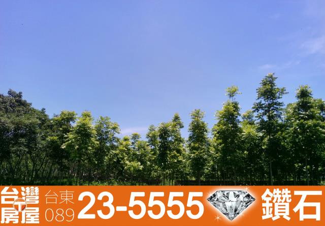 台東鹿野農地-11