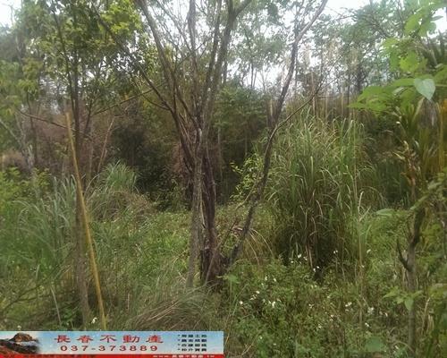 苗栗獅潭農地-5