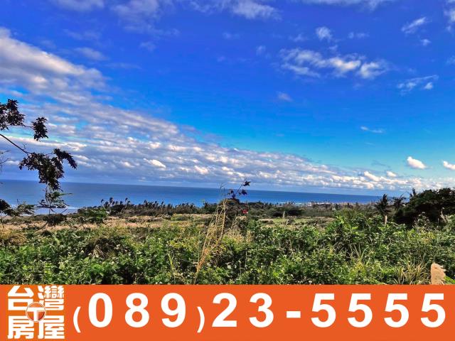 鑽石台東房地產買賣