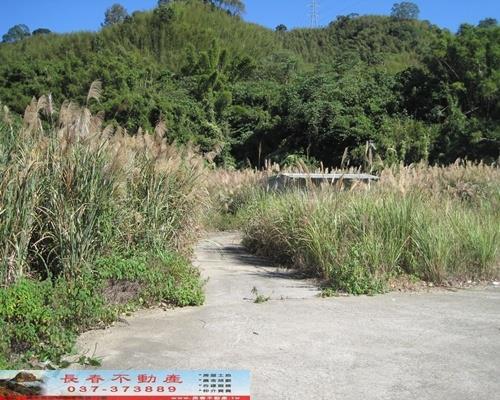 苗栗獅潭農地-1