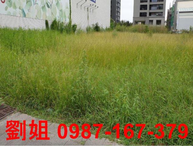 楠梓建地-1