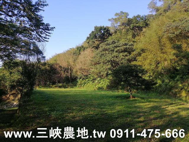 三峽農地-10