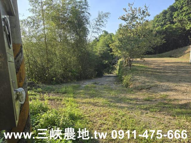 三峽農地-4