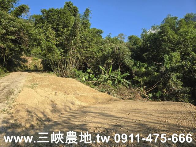 三峽農地-6