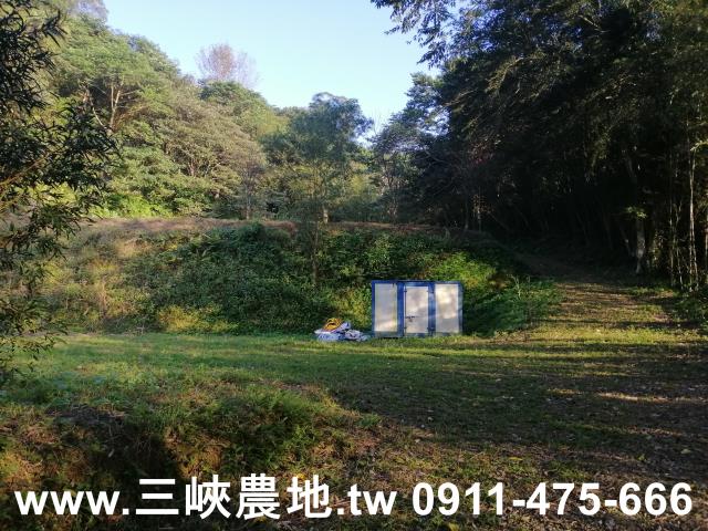 新北三峽農地-5