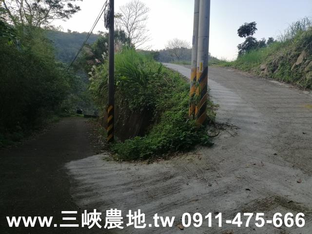 新北三峽農地-9