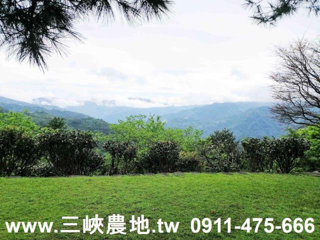 新北三峽農地-13