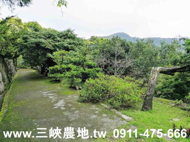 新北三峽農地-3