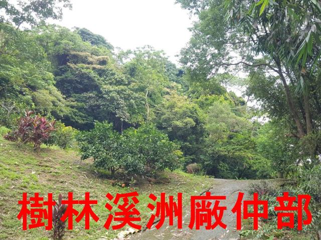樹林農地-10