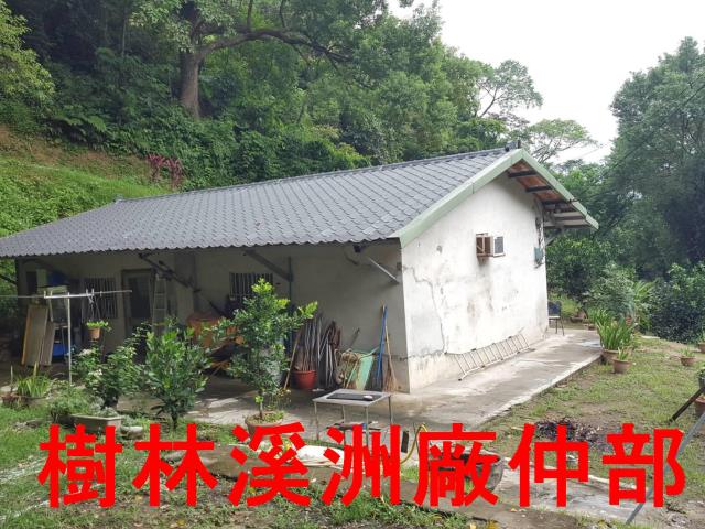 樹林農地-2