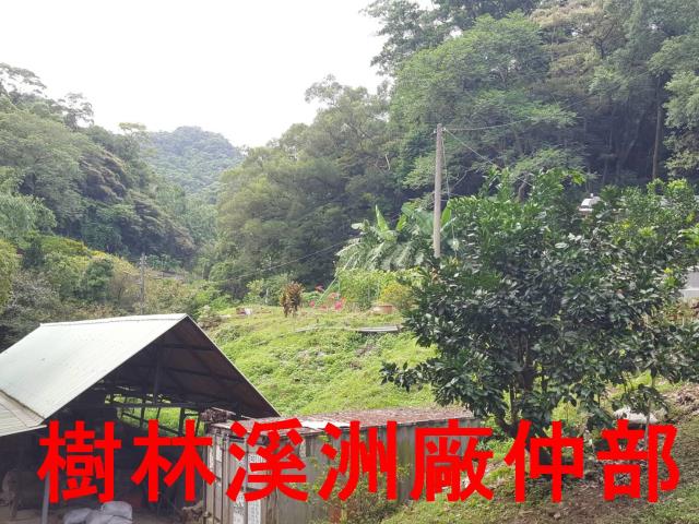 樹林農地-7
