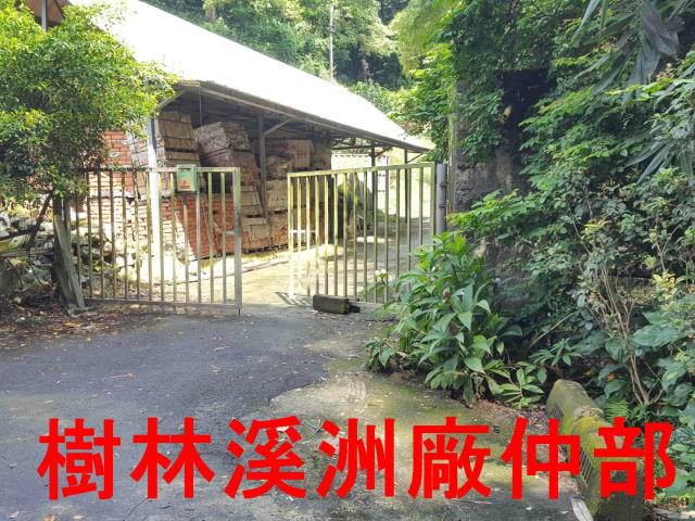 樹林農地-8