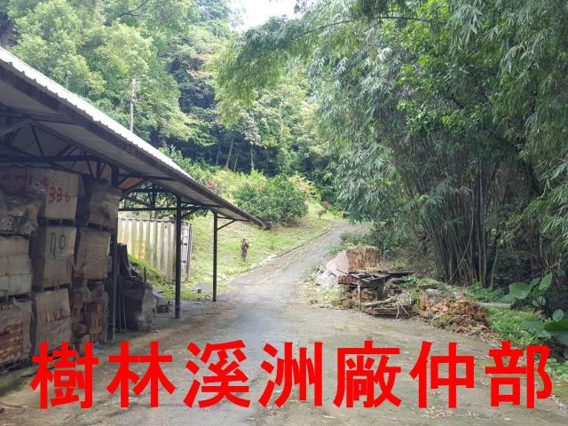樹林農地-9