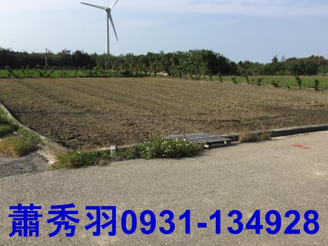 苗栗苑裡農地-3