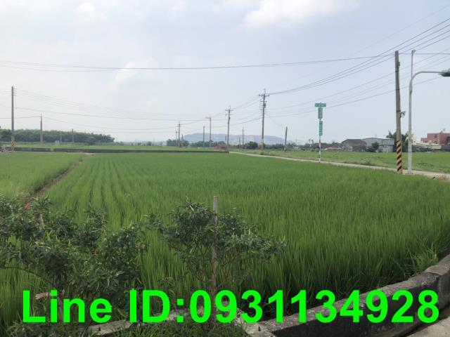 苗栗苑裡農地-3