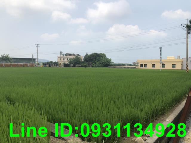 苗栗苑裡農地-4