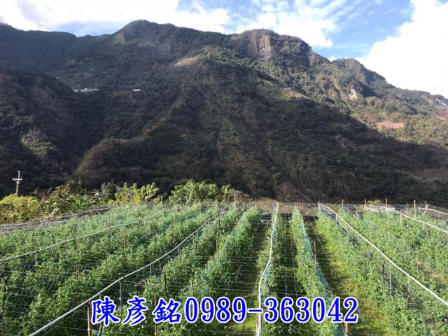 南投信義鄉休閒地-2