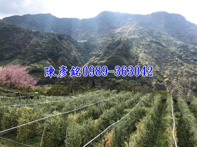 南投信義鄉休閒地-5