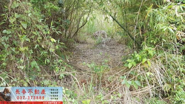 苗栗銅鑼農地-1