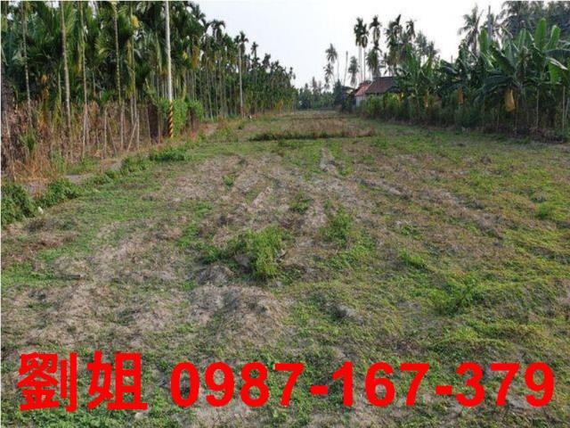 屏東農地-3