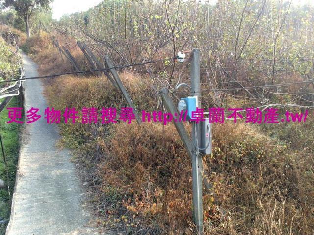 卓蘭農地-3