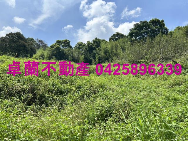 卓蘭農地-8