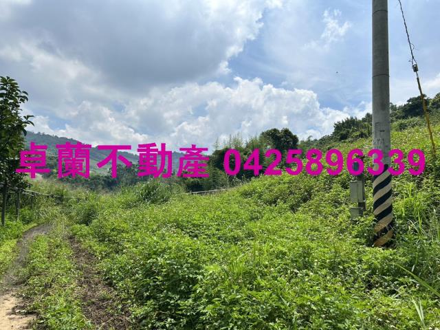 卓蘭農地-9