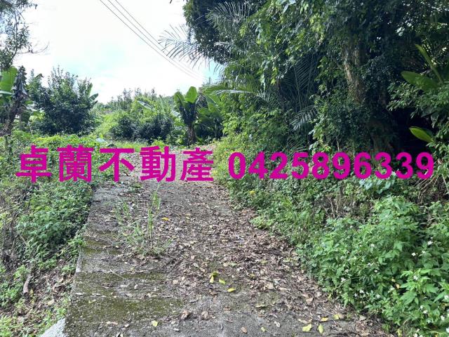 卓蘭農地-12
