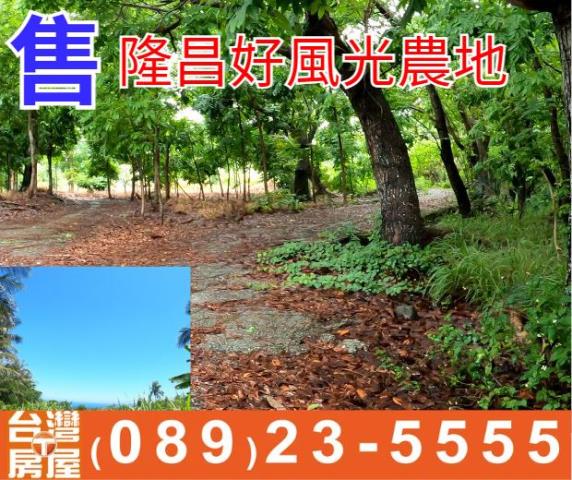 台東東河農地-2