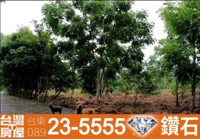 台東東河農地-3