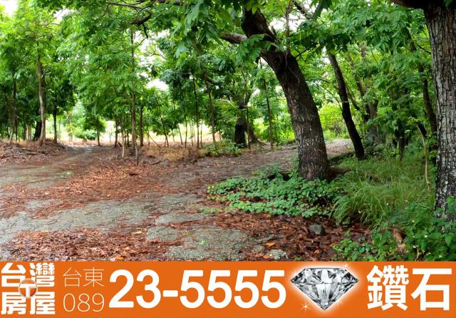 台東東河農地-5