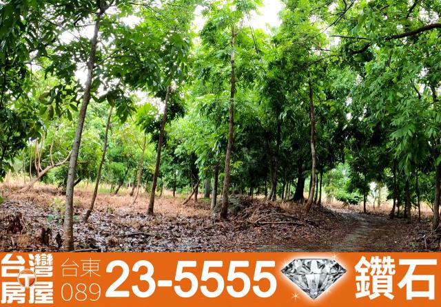 台東東河農地-7